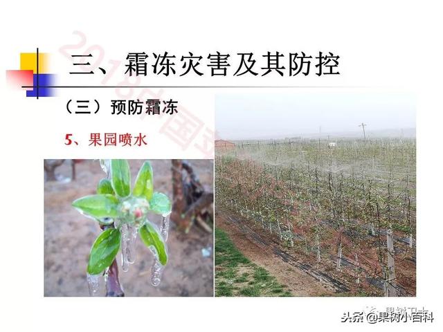 自然灾害与防灾减灾技术总结