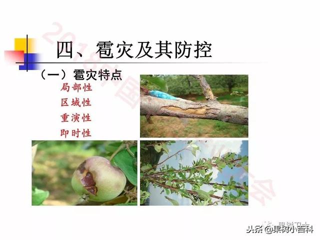 自然灾害与防灾减灾技术总结