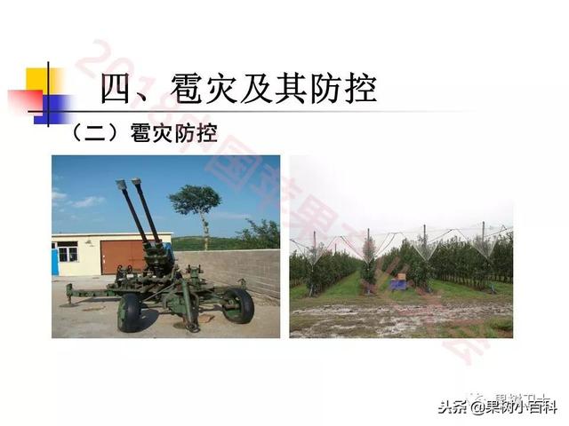 自然灾害与防灾减灾技术总结