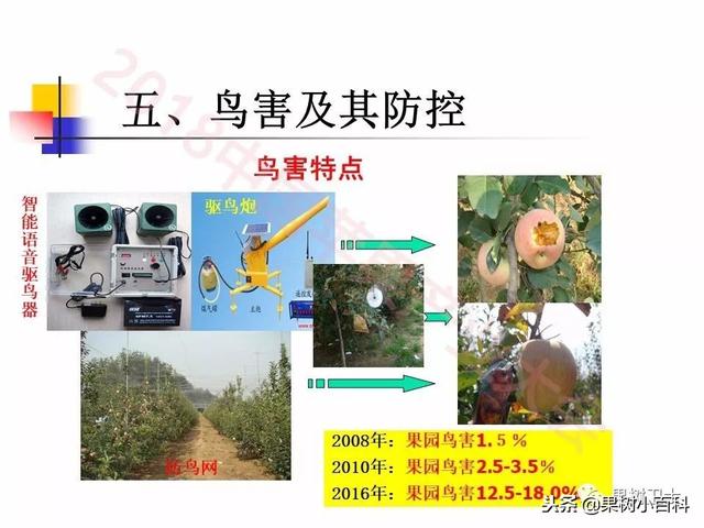 自然灾害与防灾减灾技术总结