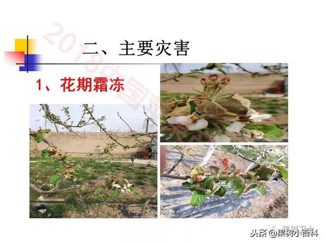 自然灾害与防灾减灾技术总结