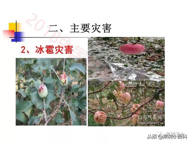 自然灾害与防灾减灾技术总结