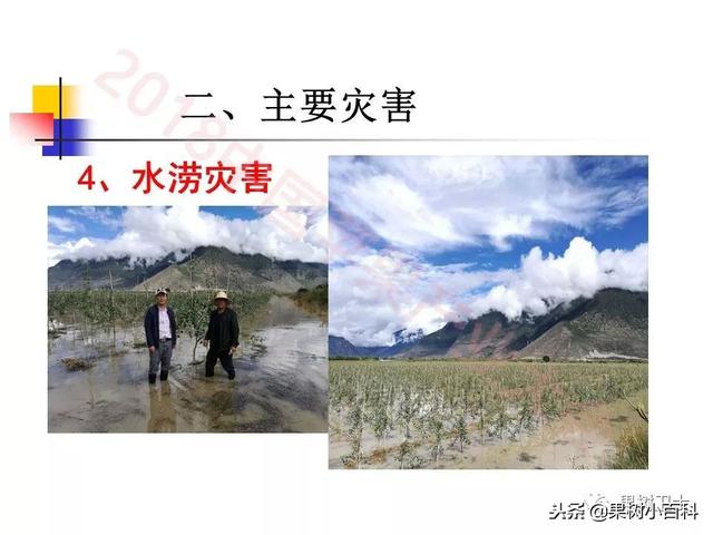 自然灾害与防灾减灾技术总结