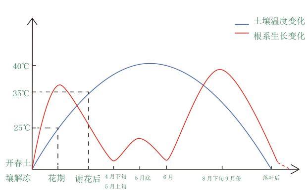 春施基肥的弊端