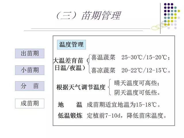 育苗技术大全