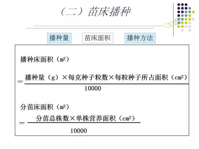 育苗技术大全