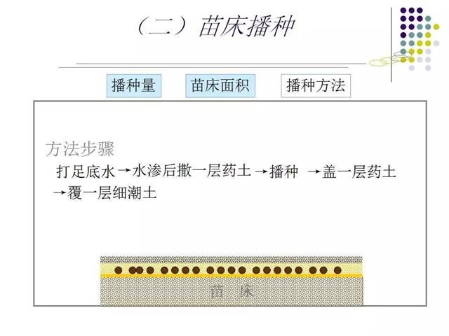 育苗技术大全