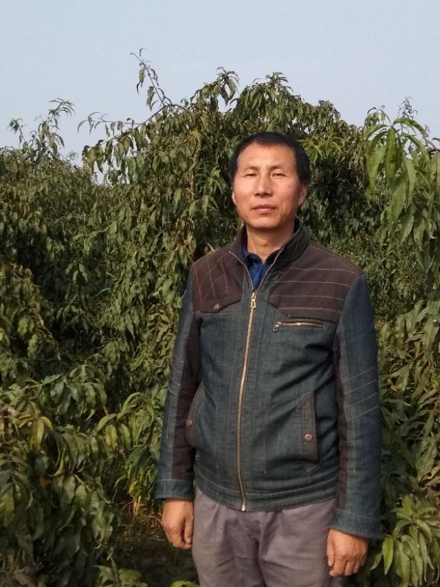 果树的营养循环
