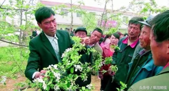 果园全年管理方案