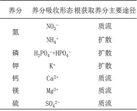 根系是如何吸收矿质养分的？