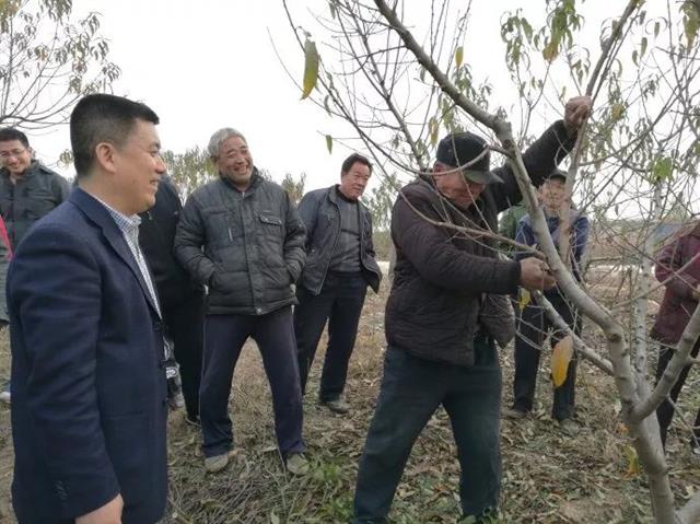 果树管理歌内容详细讲解（三）