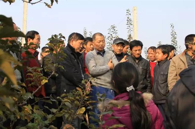 果树管理歌内容详细讲解（一）