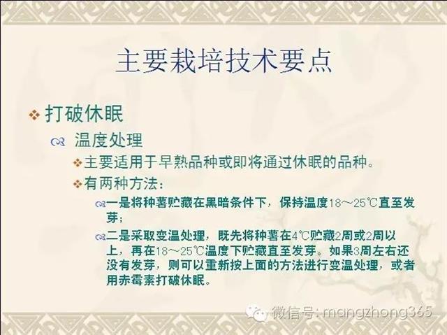 马铃薯高产高效栽培技术（下）