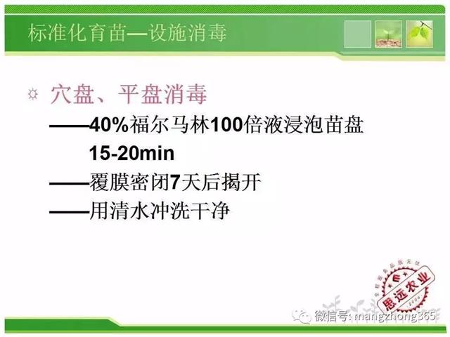 超详细西瓜标准化栽培技术