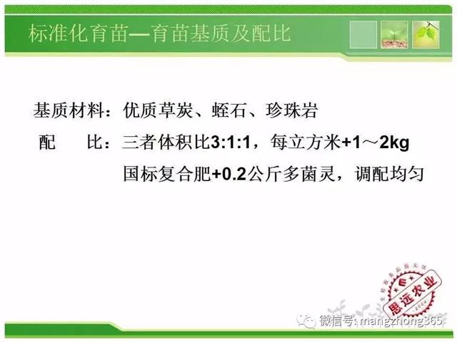 超详细西瓜标准化栽培技术