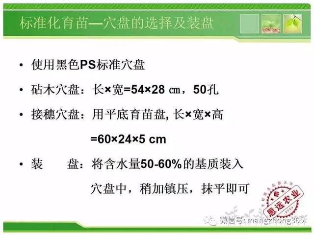 超详细西瓜标准化栽培技术