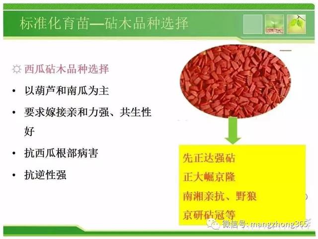 超详细西瓜标准化栽培技术