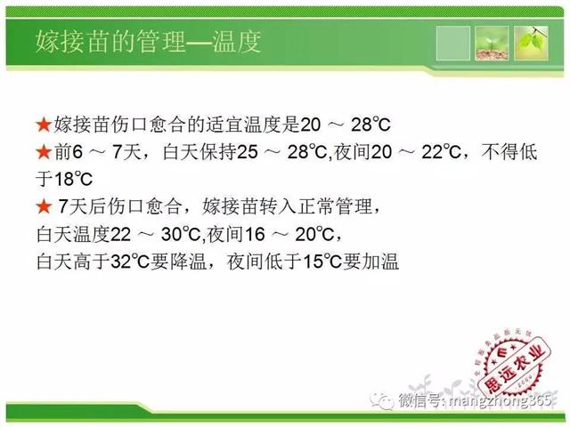 超详细西瓜标准化栽培技术