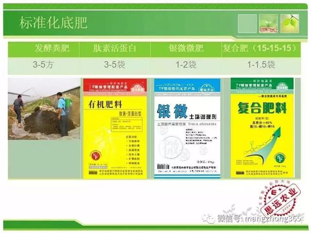 超详细西瓜标准化栽培技术