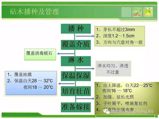 超详细西瓜标准化栽培技术