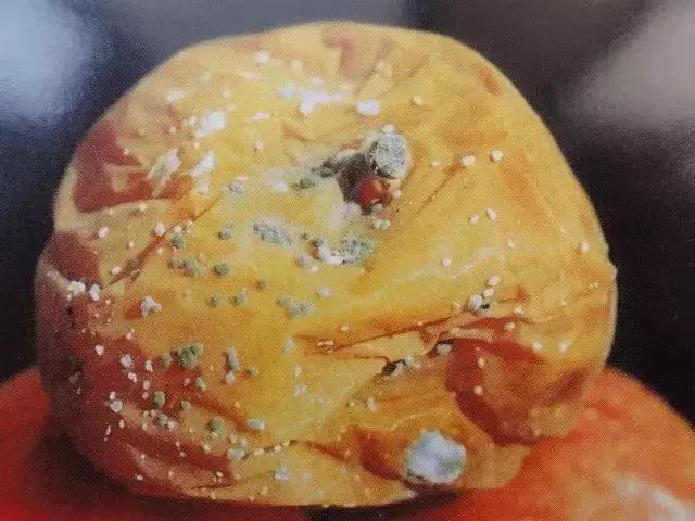 苹果树27种病虫害防治“参考书”