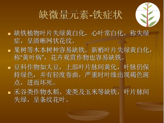 作物缺素典型症状图