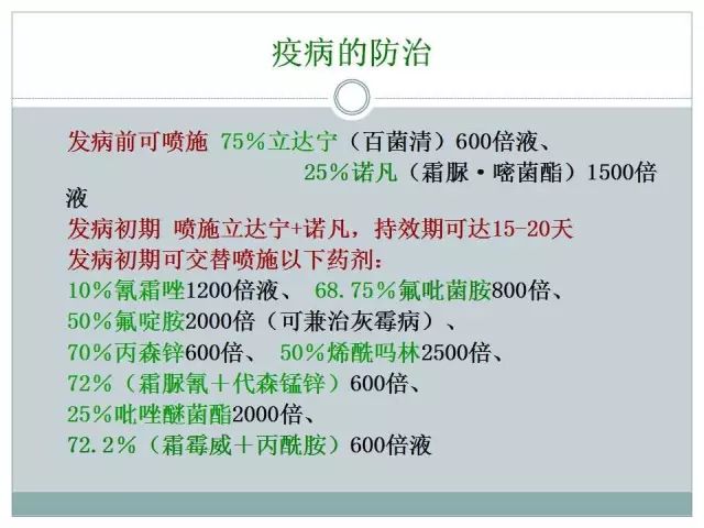 辣椒病虫害高清图谱 解决方案