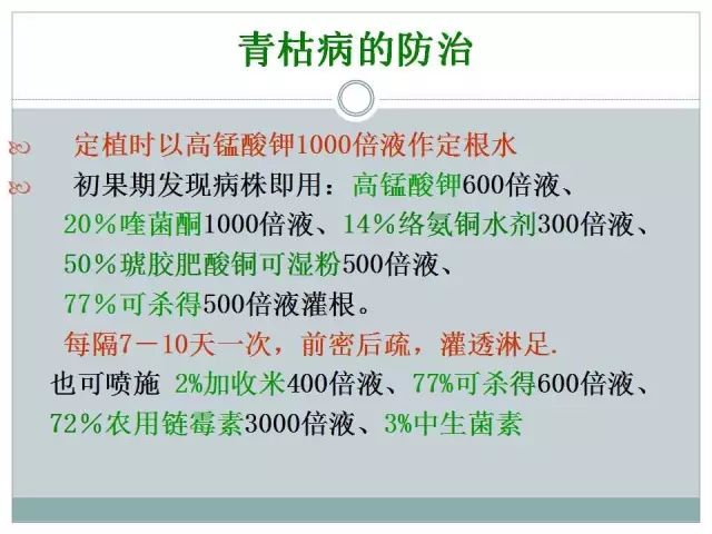 辣椒病虫害高清图谱 解决方案