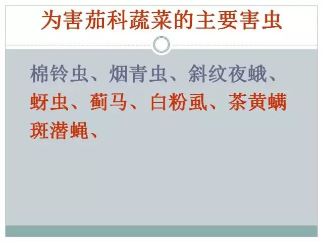 辣椒病虫害高清图谱 解决方案