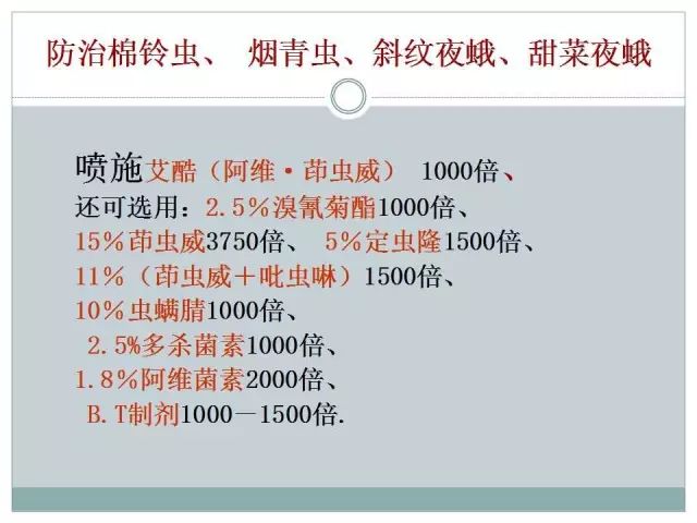 辣椒病虫害高清图谱 解决方案