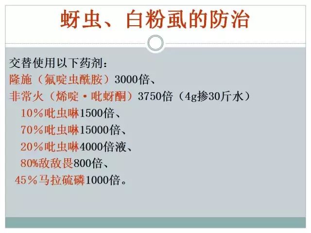 辣椒病虫害高清图谱 解决方案