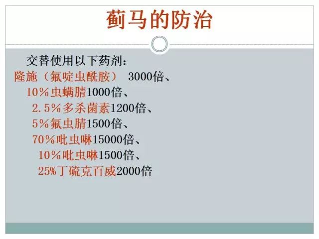 辣椒病虫害高清图谱 解决方案