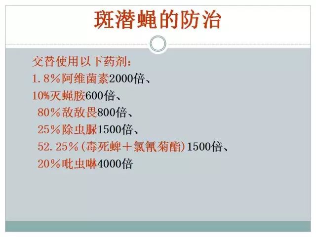 辣椒病虫害高清图谱 解决方案