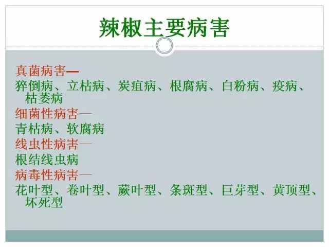 辣椒病虫害高清图谱 解决方案