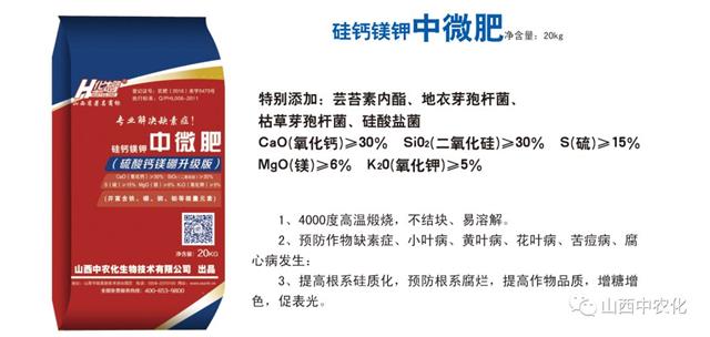 苹果树要丰收,树势调节很重要