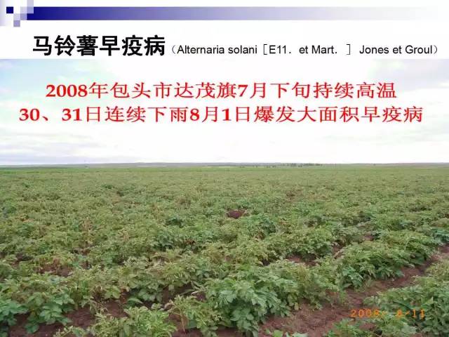 最全的马铃薯病害详解