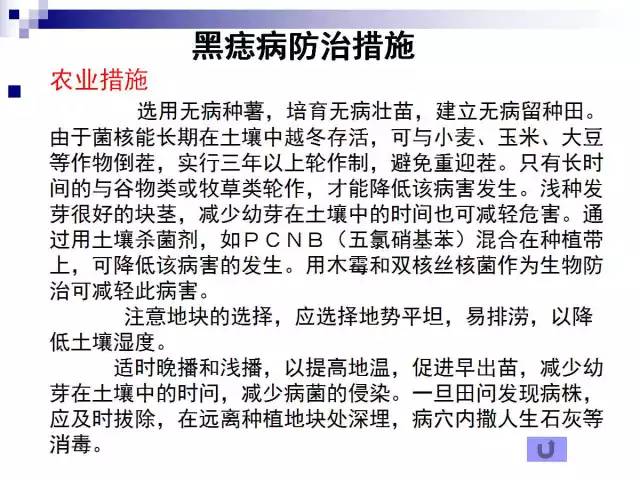 最全的马铃薯病害详解