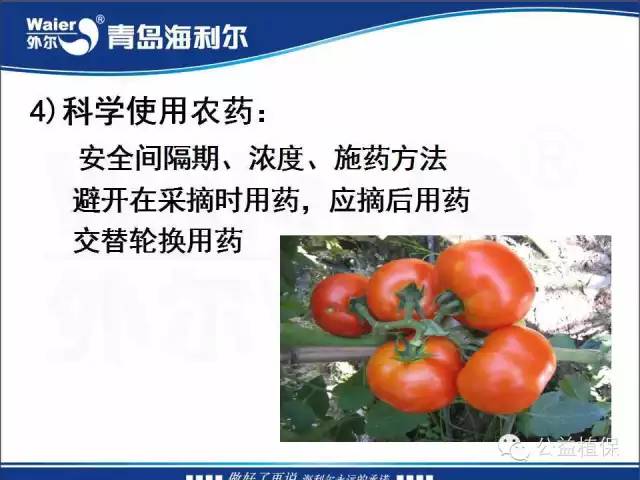 番茄管理解决方案