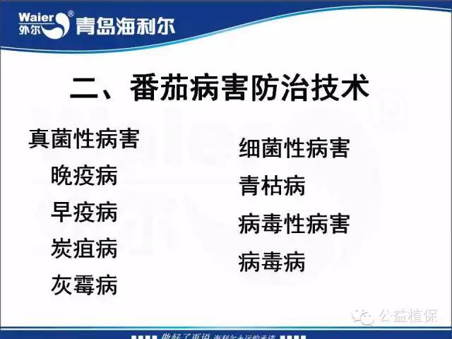 番茄管理解决方案
