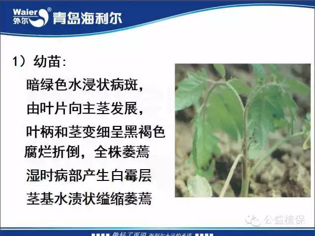 番茄管理解决方案