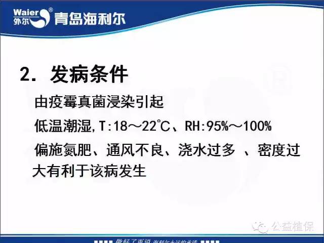 番茄管理解决方案