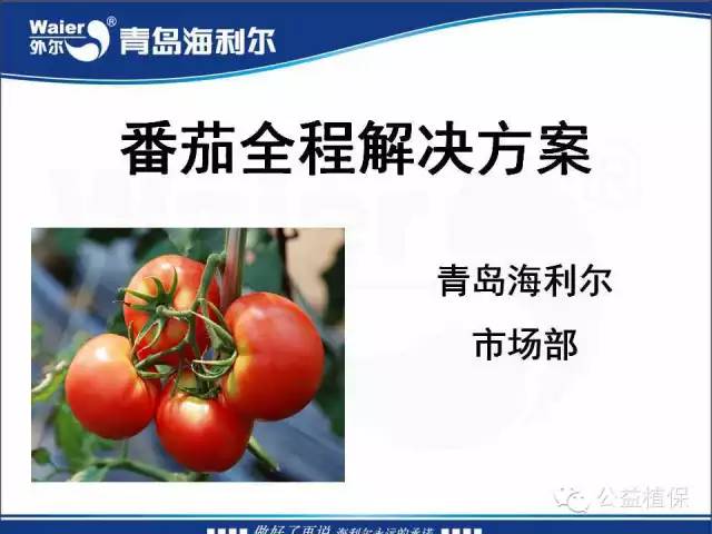 番茄管理解决方案