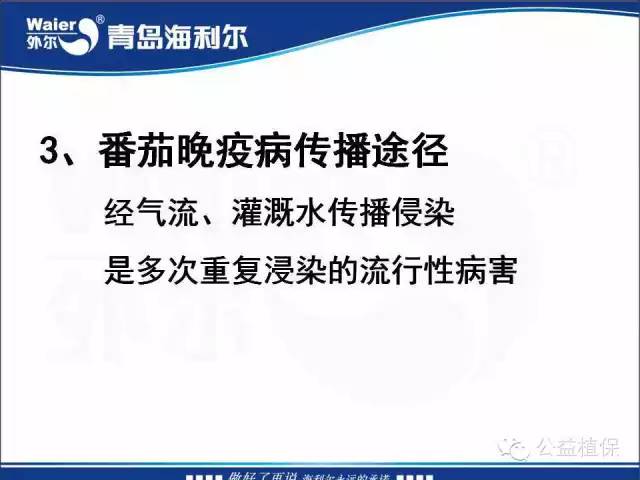 番茄管理解决方案