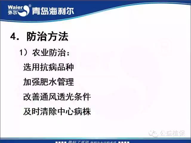 番茄管理解决方案