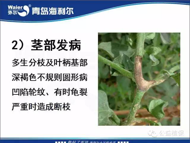番茄管理解决方案
