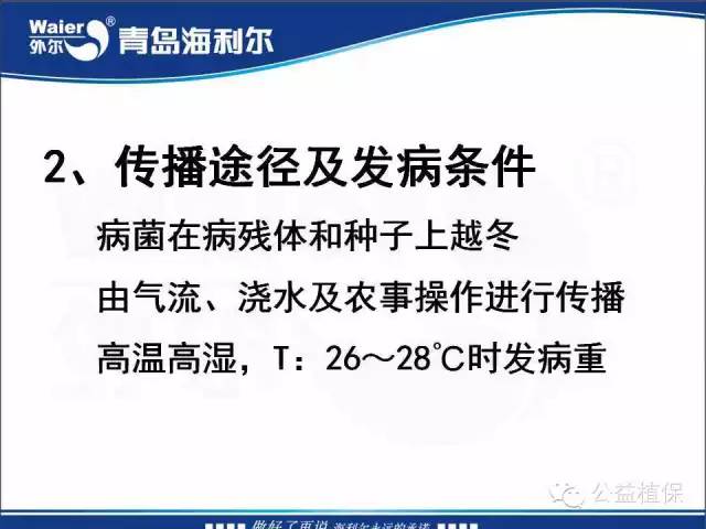 番茄管理解决方案