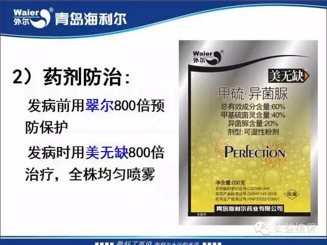 番茄管理解决方案