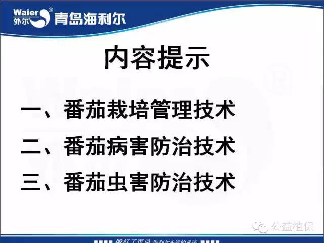 番茄管理解决方案