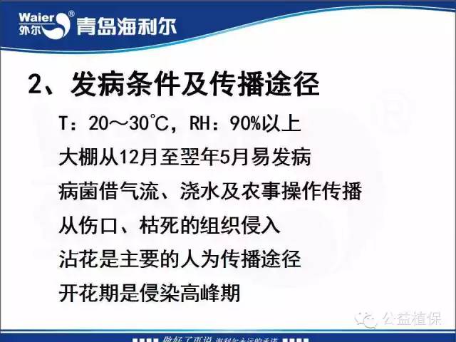 番茄管理解决方案