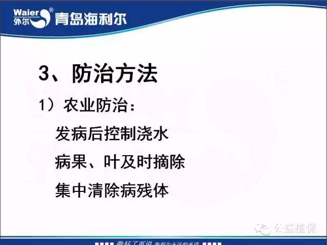 番茄管理解决方案